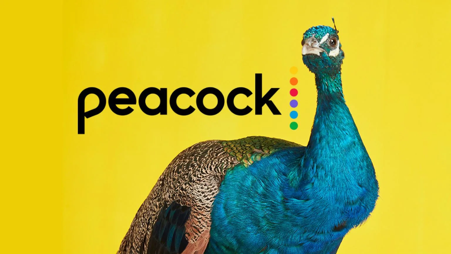 Peacock Streaming Service Features in 2025: Comprehensive Entertainment and Live Sports
