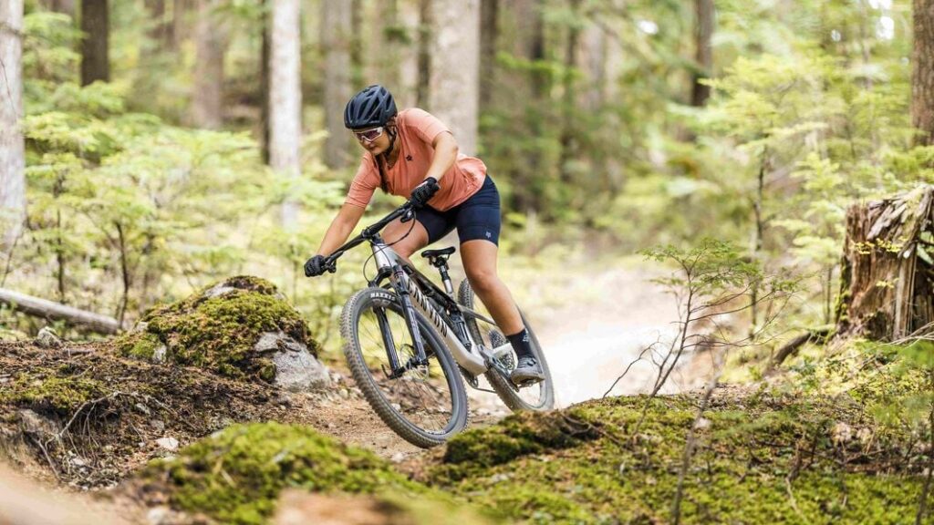 Mountain Bicycle 