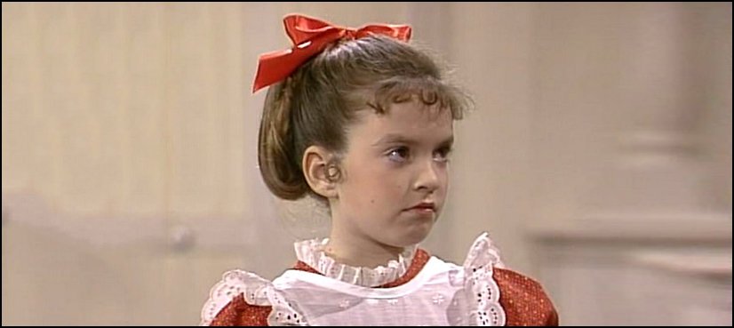 A Small Wonder Vicki